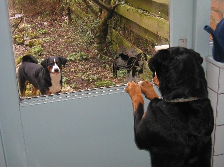 Am 9. M�rz 2004 in Utrecht