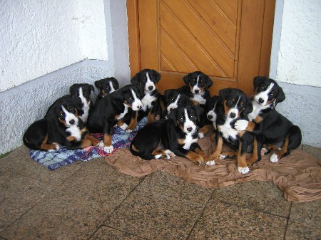 Am 1. Juli 2004  in Bad Gr�nenbach