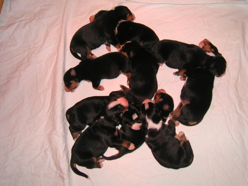 Uns geht es hervorragend !