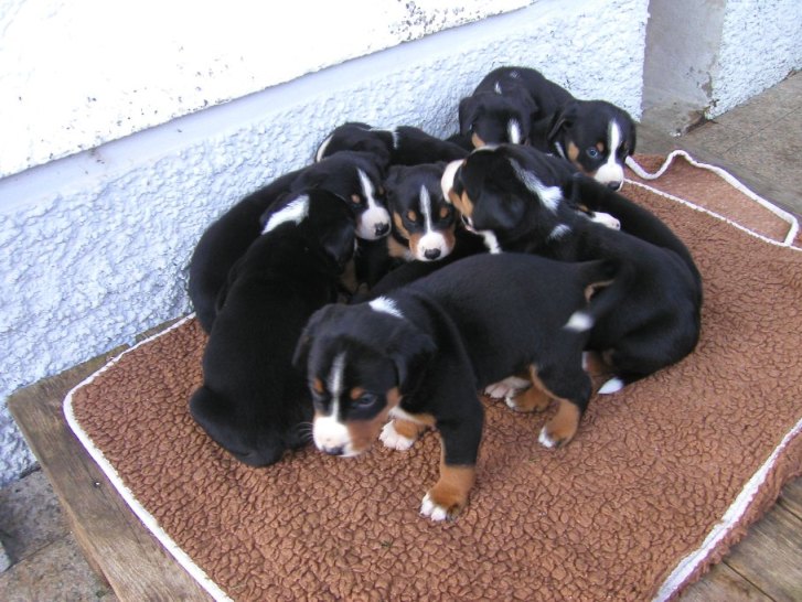 10 W�rmflaschen nebeneinander