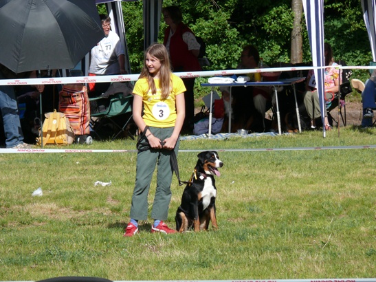 Dario bei seiner ersten Ausstellung in Sindelfingen