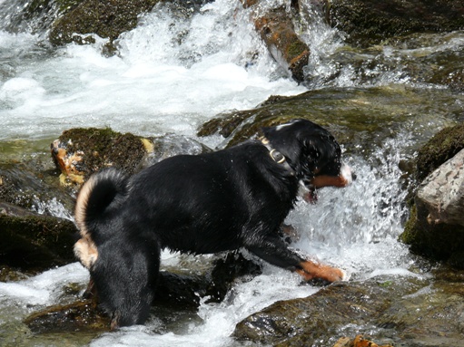 Es gibt nichts sch�neres wie kaltes Gebirgswasser !