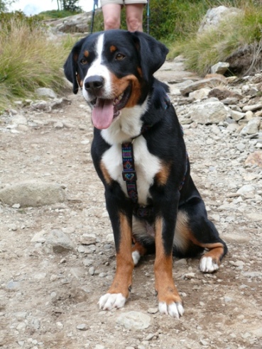 Meine erste Wanderung auf eine Bergh�tte