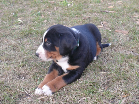 El Diego am 02.04.2009