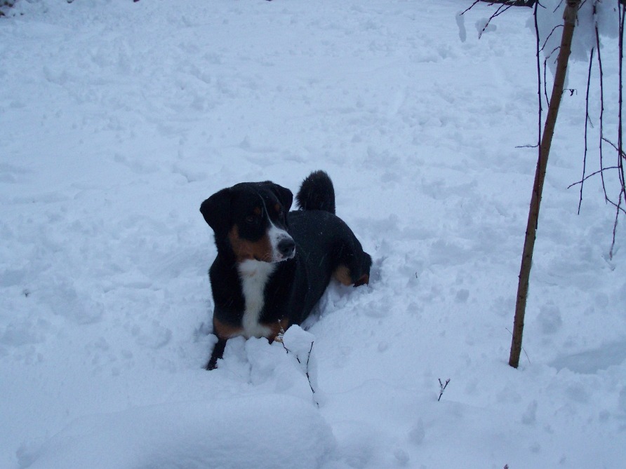 Mein Zuhause liegt ca. 1000 m �ber dem Meer und ist einfach Klasse !