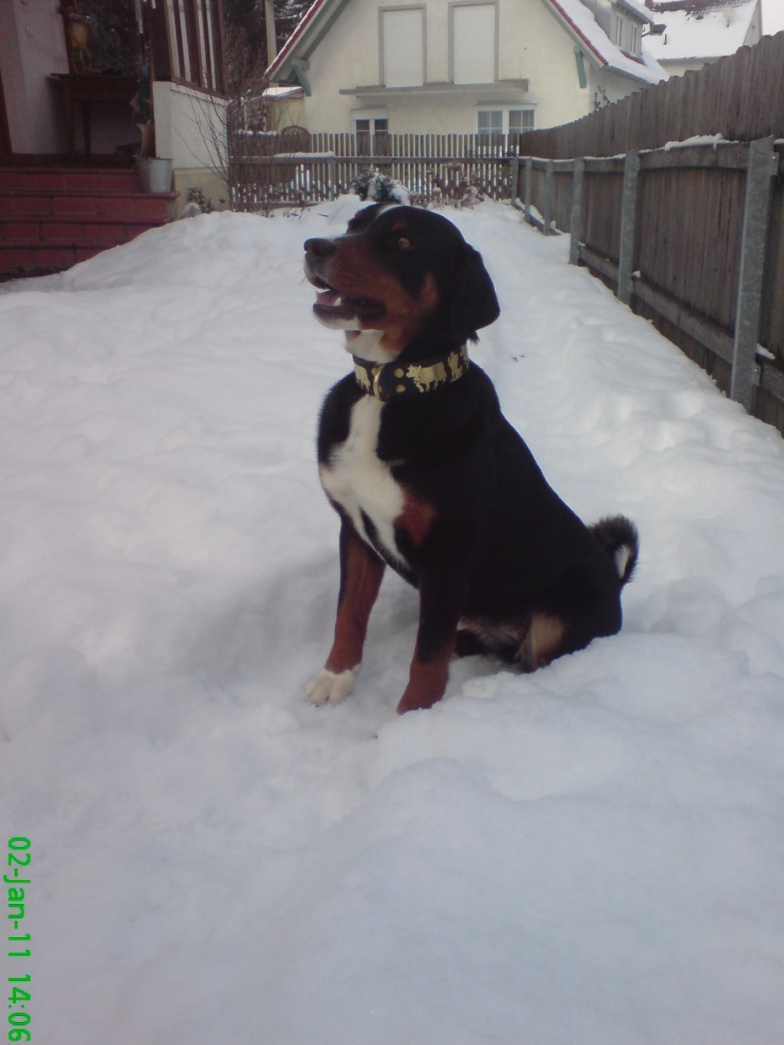 Emmi ist am 2. Januar 2011 zu Besuch bei uns !