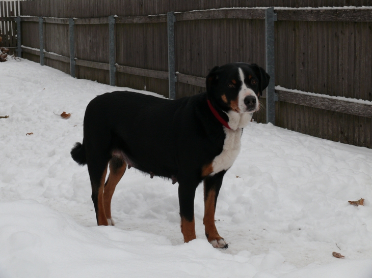 Wir Ihr seht, mir geht es bestens !