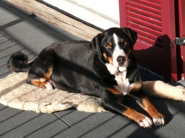 Heute ist der 6. Februar 2011, es ist ein toller Sonnentag !