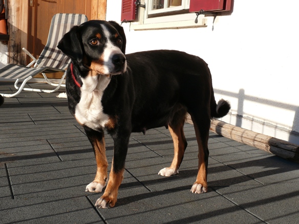 Wie Ihr seht, bin ich nicht mehr so mobil, aber sonst ist alles ok !