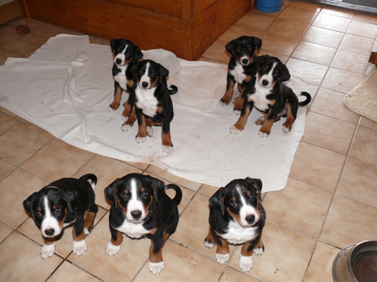 Nach einem langen und anstrengendem Tag am 6. April 2011