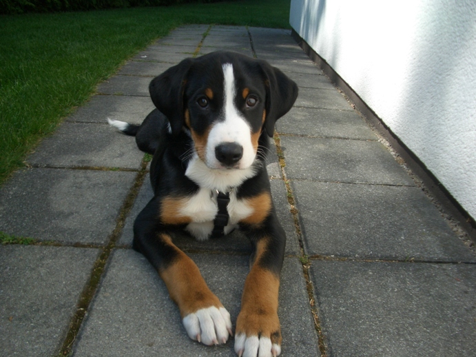 Aufnahme vom 11. Mai 2011