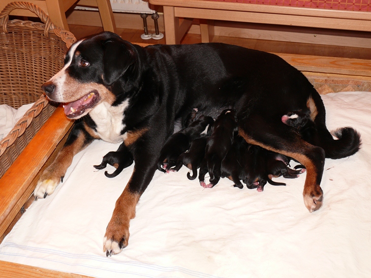 Aufnahme vom 1. M�rz 2012 gegen 12.30 Uhr