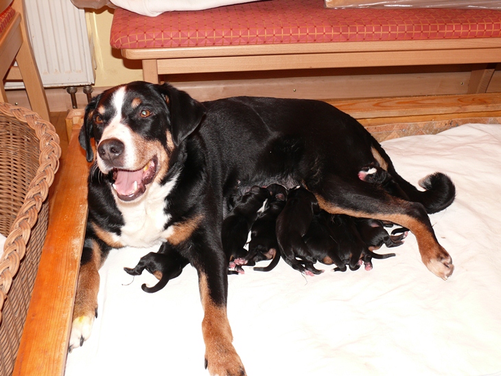 Aufnahme vom 1. M�rz 2012 gegen 12.30 Uhr