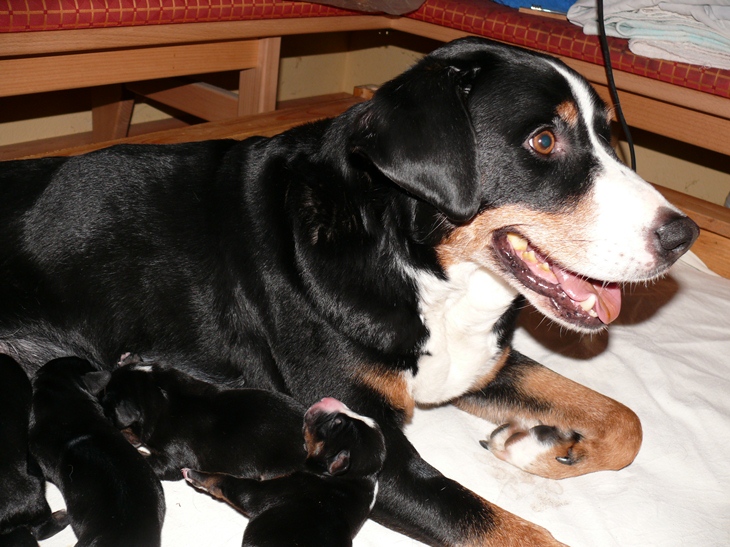 Aufnahme vom 4. M�rz 2012 gegen 7.45 Uhr