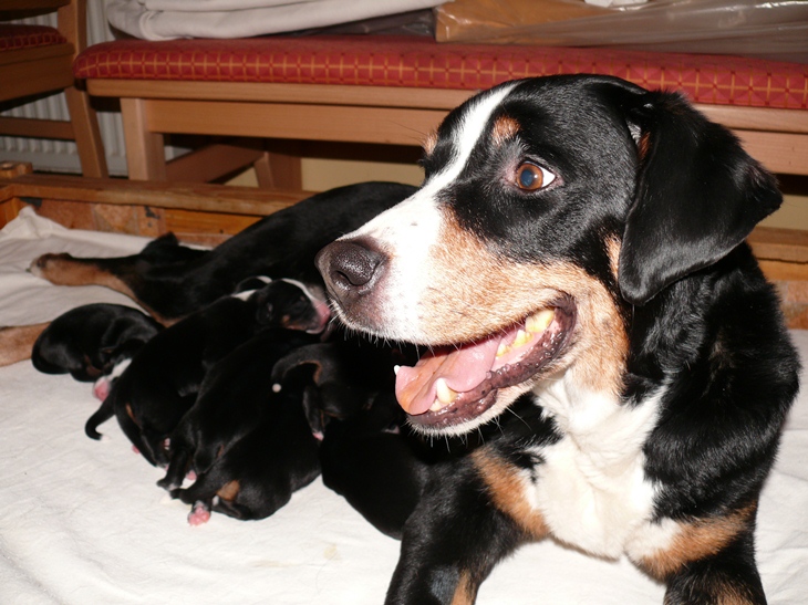 Aufnahme vom 4. M�rz 2012 gegen 7.45 Uhr