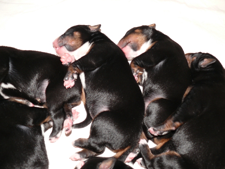 Aufnahme vom 4. M�rz 2012 gegen 10.30 Uhr