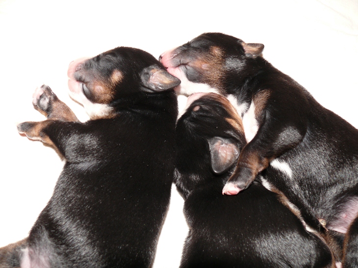 Aufnahme vom 4. M�rz 2012 gegen 10.30 Uhr