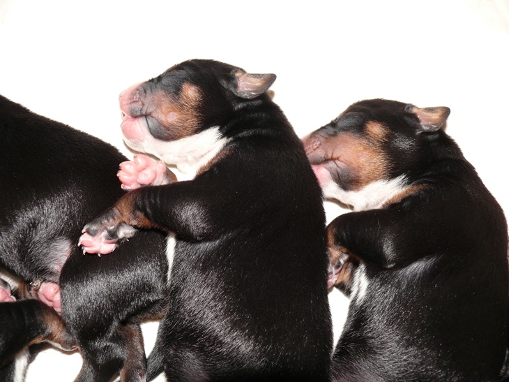 Aufnahme vom 4. M�rz 2012 gegen 10.30 Uhr