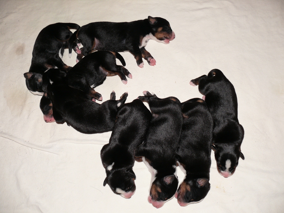 5. M�rz 2012 gegen 19 Uhr