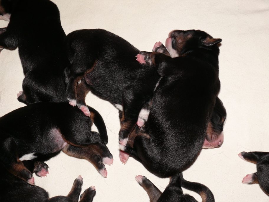 5. M�rz 2012 gegen 19 Uhr