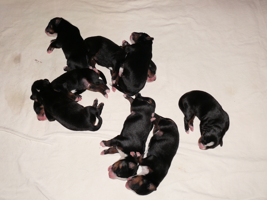 5. M�rz 2012 gegen 19 Uhr