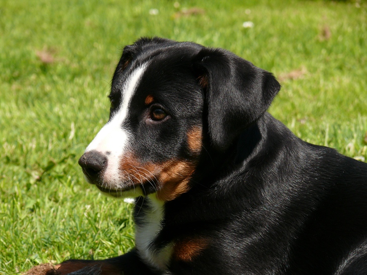 Aufnahme vom 20. Mai 2012