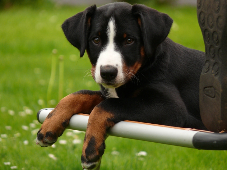 Aufnahme vom 20. Mai 2012