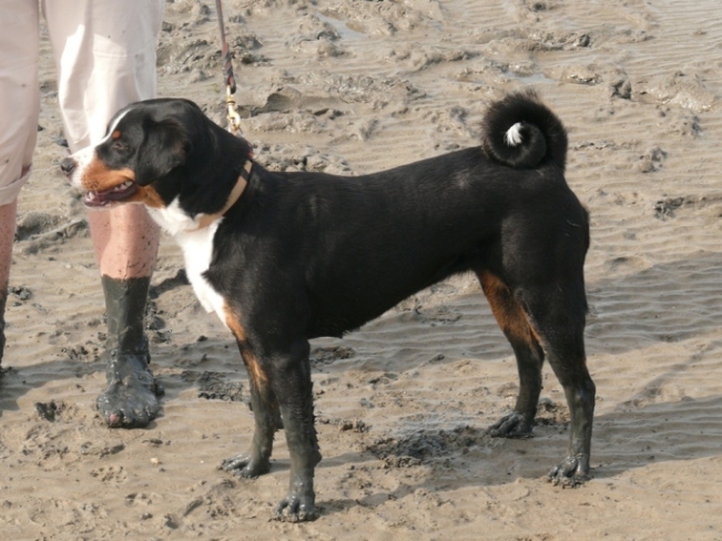 Hier gef�llt es mir !