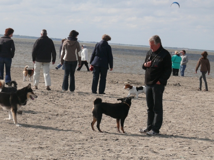 Auf dem Hundestrand in Norddeich in 2009