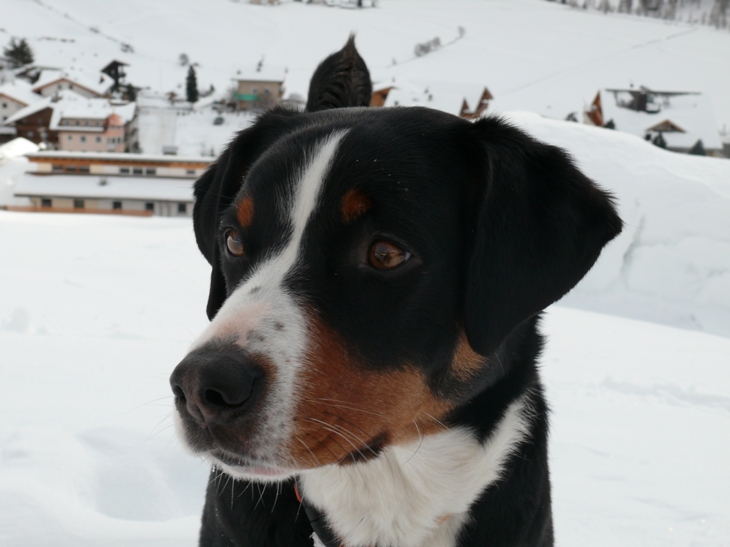 S�dtirol Januar 2010