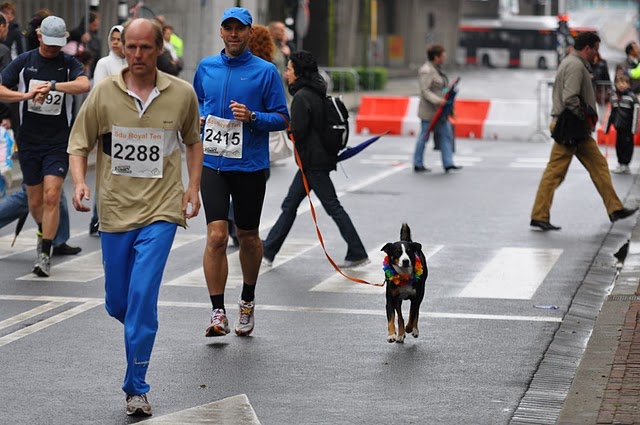 Cara bei einem 10 km Lauf in Den Haag 1n 2010 !