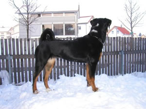 Februar 2005