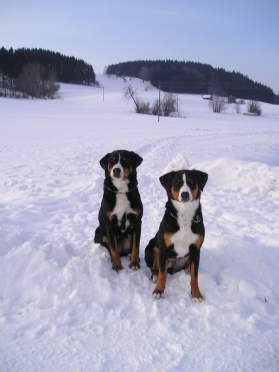 Am 7. M�rz 2005 in Bad Gr�nenbach