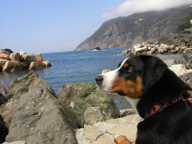 In Framura im M�rz 2005