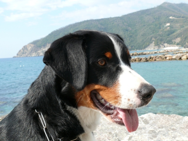 Donja am Mittelmeer im Oktober 2007