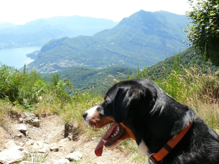 Donja auf dem Weg zu einer Bergh�tte �ber dem Comer See