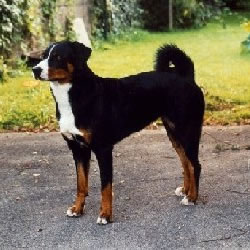 Senta v.d. Steig im Sommer 2000