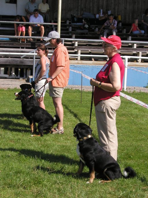 Buddy und Arco in Babenhausen